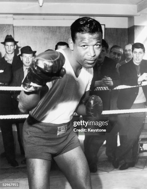 Terry Ray Boxing