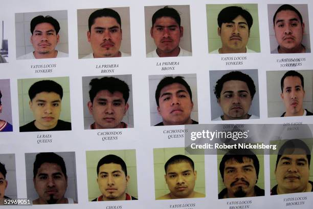 Photos of gang members and the names of their gangs are shown by US officials from Immigration and Customs Enforcement at a press conference...