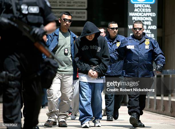 Special agents working for Immigration and Customs Enforcement escort members of a Mexican gang to court following their arrests May 11, 2005 in New...