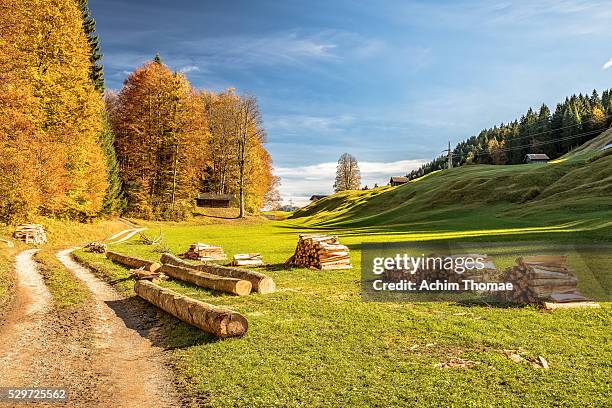 Germany Logging Logging Trails Photos and Premium High Res Pictures - Getty Images