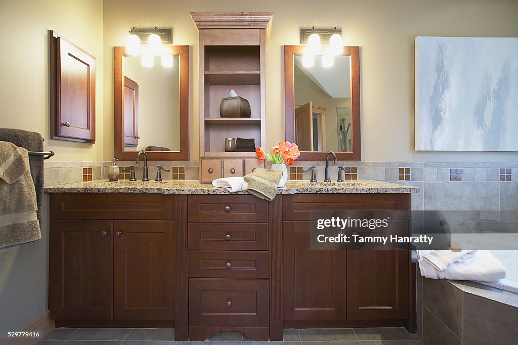 Bathroom sinks