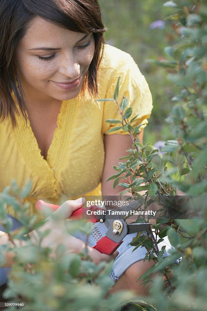 Woman pruning plant