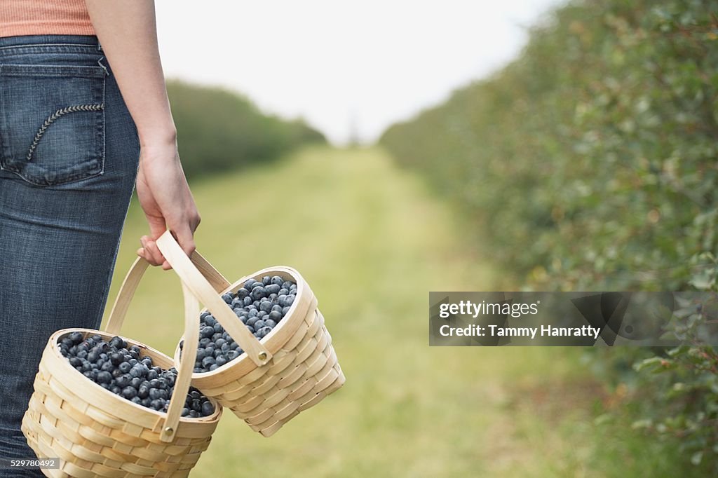 Woman carrying baskets of blueberries