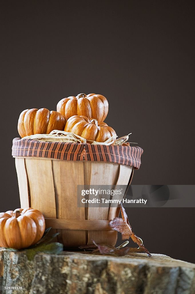 Basket Full of Miniature Pumpkins