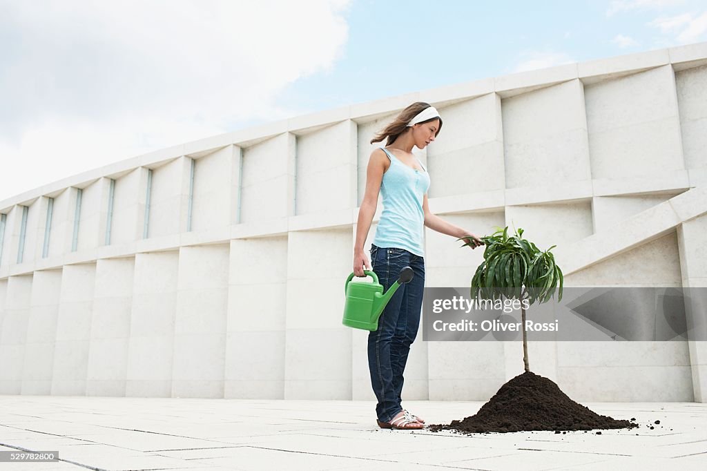 Woman Planting a Tree
