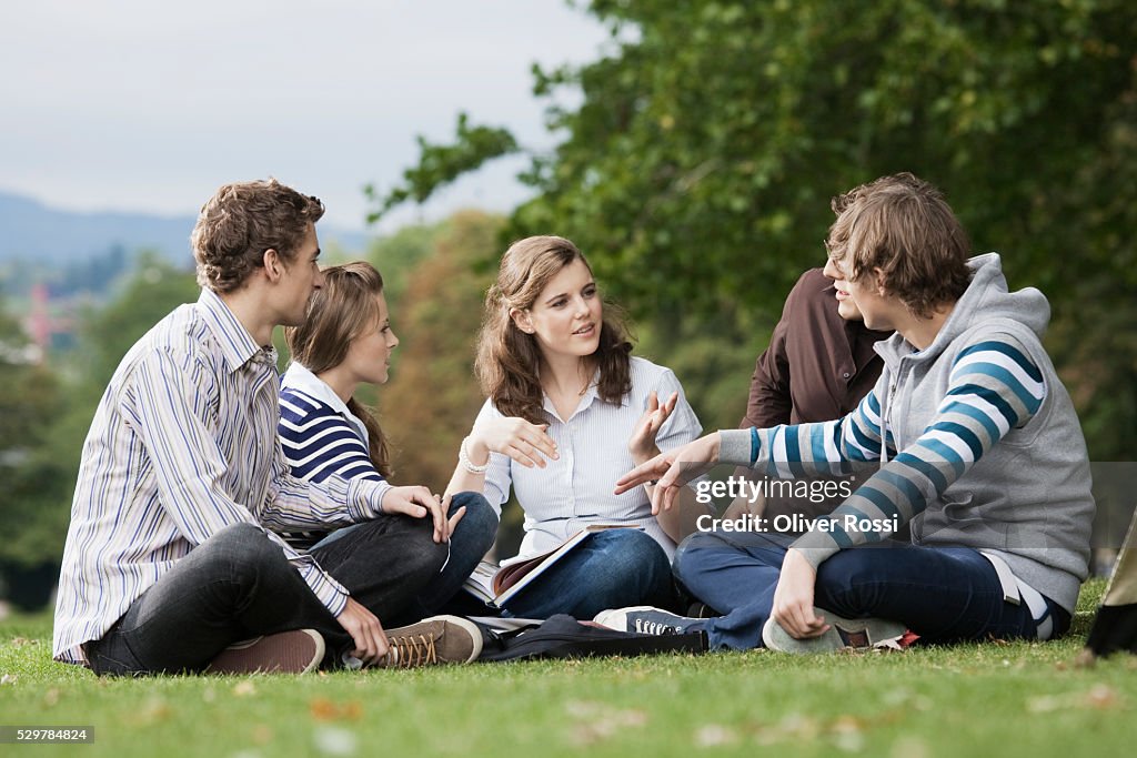 Students having study group on grass