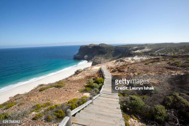 diaz beach - western cape province stock pictures, royalty-free photos & images