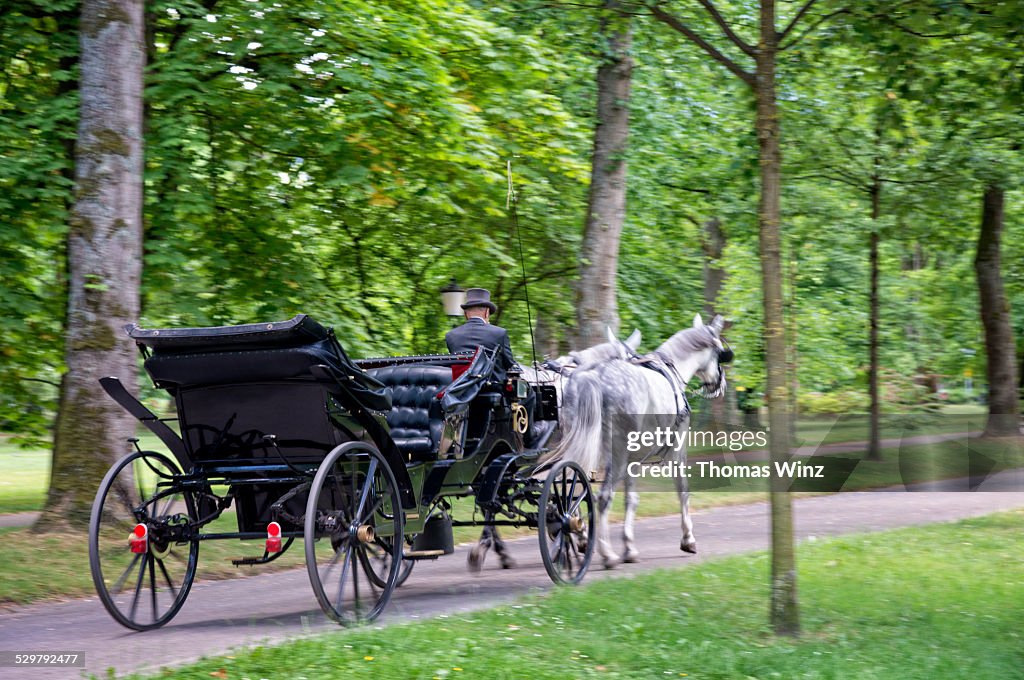 Horse drawn carriage
