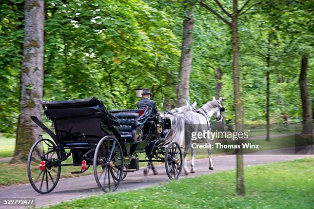 horse drawn carriage - horse carriage bildbanksfoton och bilder
