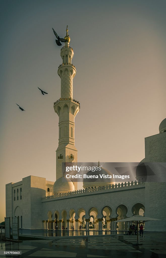 Pigeons flying over Mosque?s minaret