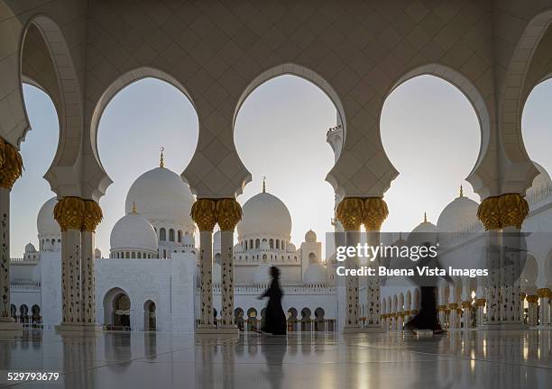 arab women in the  grand mosque - abu dhabi people stock pictures, royalty-free photos & images