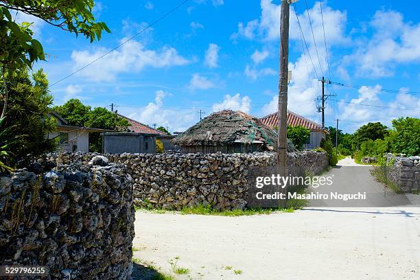 houses with stone walls - île de taketomi photos et images de collection
