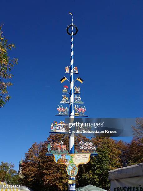 maibaum at the viktualienmarkt in munich, germany - maibaum münchen ストックフォトと画像