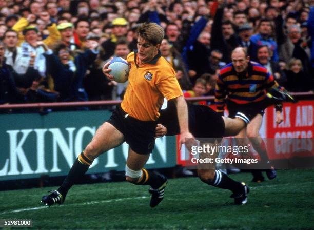 Tim Horan of the Wallabies in action during the Australia v New Zealand semi final match during the 1991 Rugby Union World Cup at Lansdowne Road...
