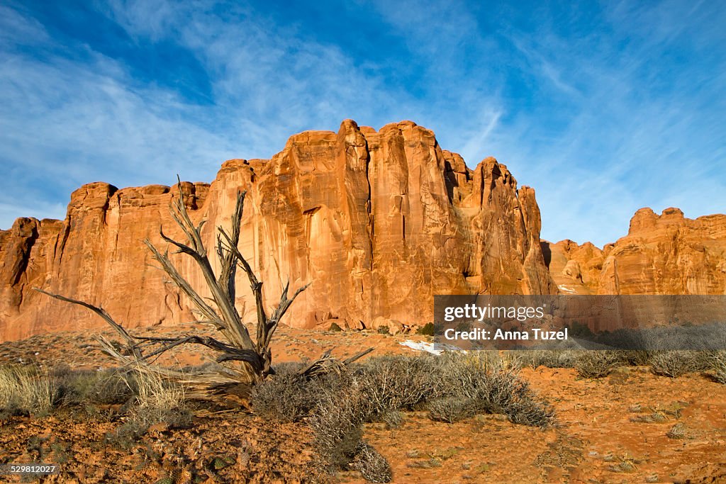 Red Rocks In Utah Red Rock Landscape Utah High-Res Stock Photo - Getty Images