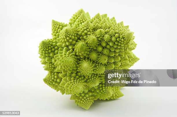 Coliflower Mathematics Pattern Fibonacci Pattern Photos and Premium High Res Pictures - Getty Images