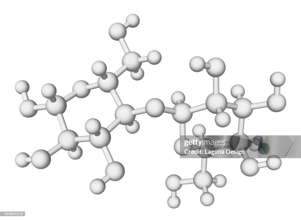 Lactose enzyme molecule