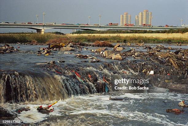 pollution in the fen river - watervervuiling stockfoto's en -beelden
