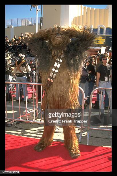 Chewbacca, the Star Wars wookiee, posing on the red carpet.