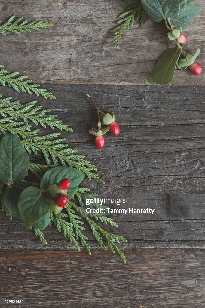 Close up of leaves and berries on wood