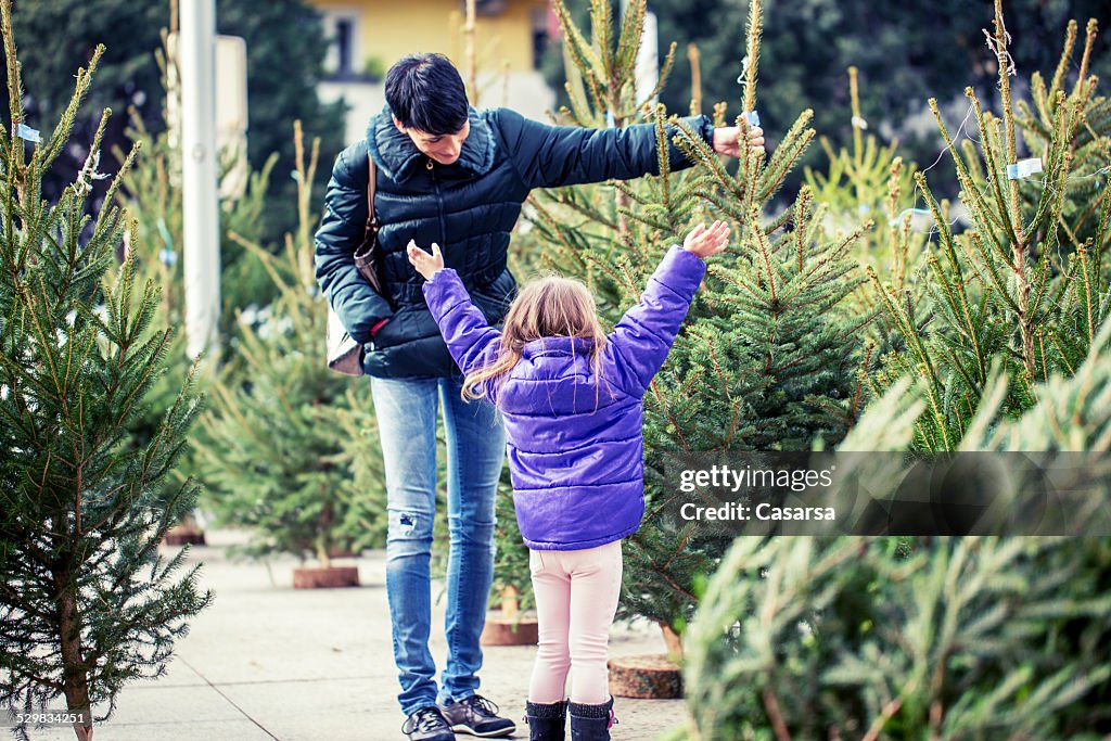 Shoppinf für einen Weihnachtsbaum