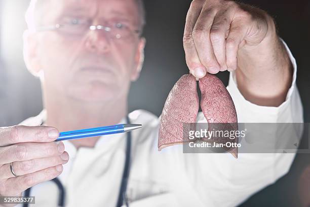 doctor pointing at lung - lung cancer stockfoto's en -beelden