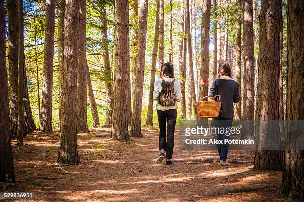 two teenager girl hiking in the forest - pennsylvania stock pictures, royalty-free photos & images