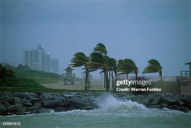 hurricane along coastline - ciclone imagens e fotografias de stock