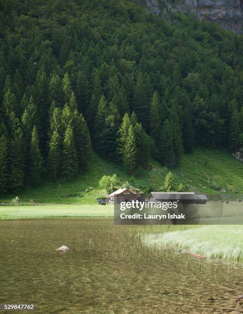 seealpsee in appenzell - lauryn ishak stock pictures, royalty-free photos & images