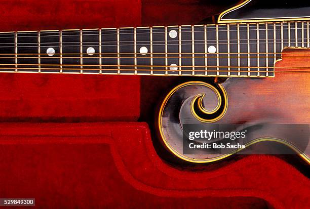 gibson f5 mandolin - mandolin stock pictures, royalty-free photos & images