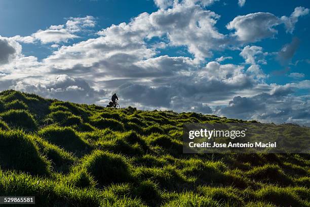 riding a bike on the top of the hill - north island new zealand stock pictures, royalty-free photos & images