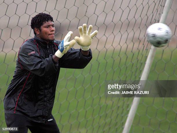Juan Flores, arquero de la seleccion nacional de futbol de Peru, realiza practicas el 26 de mayo de 2006 en Lima. El nuevo entrenador de Peru, el...