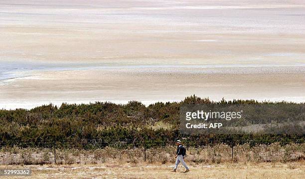 Man walks along the dry Fuente de Piedra Lagoon, 28 May 2005 in Fuente de Piedra, near Malaga. Fuente de Piedra Lagoon, the largest in Andalusia,...