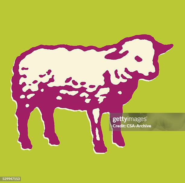 lamb - sheep stock illustrations