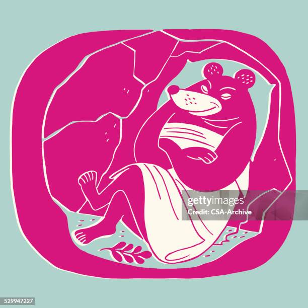 hibernating bear - hibernation stock illustrations