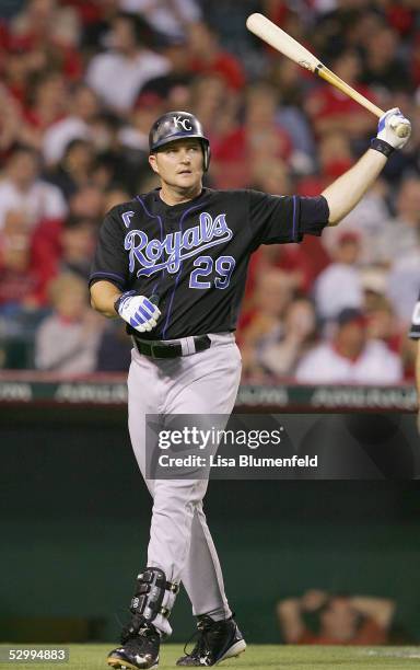 Mike Sweeney of the Kansas City Royals reacts after striking out in the third inning against the Los Angeles Angels on May 28, 2005 at Angel Stadium...