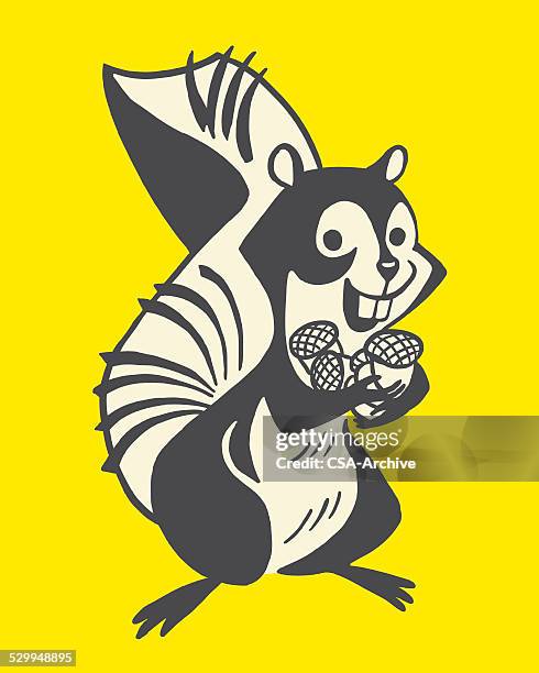 squirrel with nuts - squirrel stock illustrations