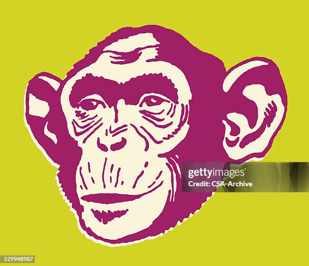 chimpanzee - chimpanzee stock illustrations