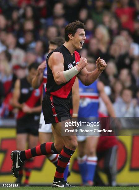 Mattehw Lloyd of the Bombers celebrates a goal during the round 10 AFL match between the Essendon Bombers and the Western Bulldogs at the Telstra...