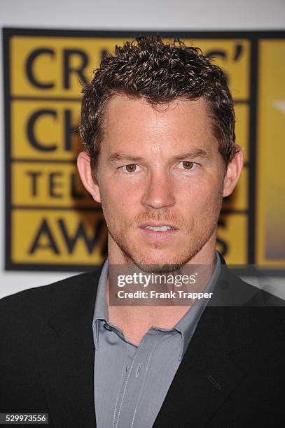Actor Shawn Hatosy arrives at the Critics' Choice Television Awards held at the Beverly Hills Hotel in Beverly Hills.