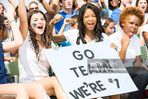 diverse group of women cheering for sports team from bleachers - family football team stock pictures, royalty-free photos & images