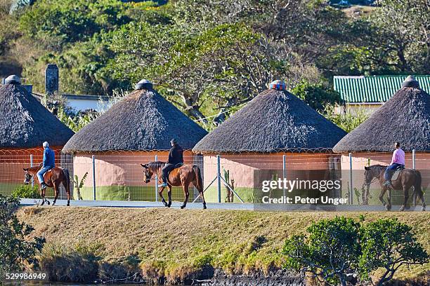 tourist horse ridding past xhosa mud huts - xhosa volk stock-fotos und bilder