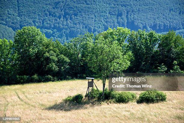 hunting blind in a field - hunting hide stock pictures, royalty-free photos & images