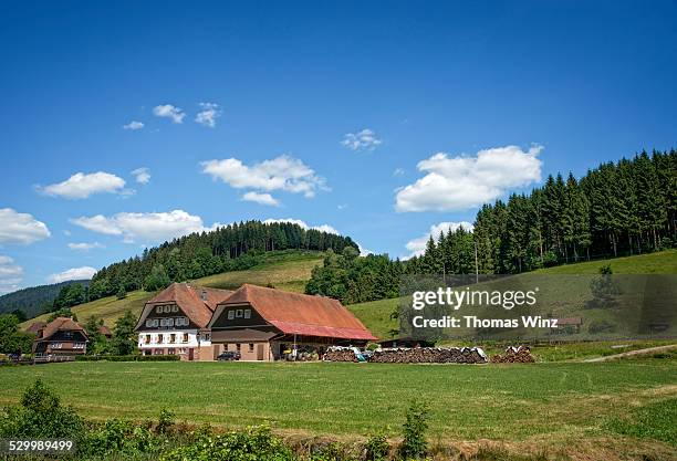 traditional black forest houses - floresta negra imagens e fotografias de stock