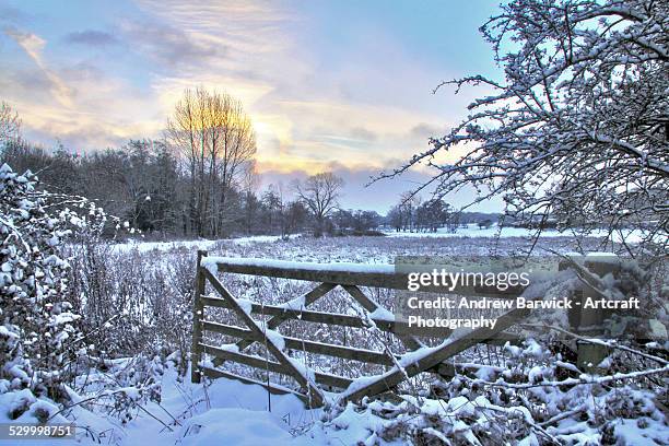 winter scene - norfolk england stock-fotos und bilder