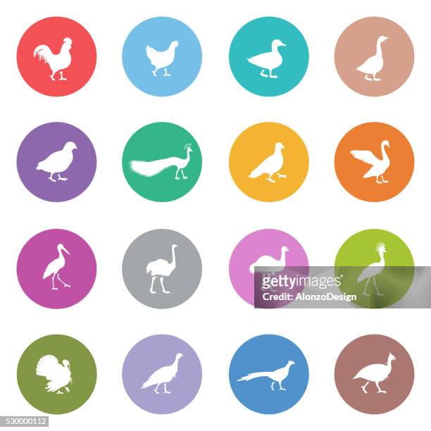 stockillustraties, clipart, cartoons en iconen met poultry icons - emu farming