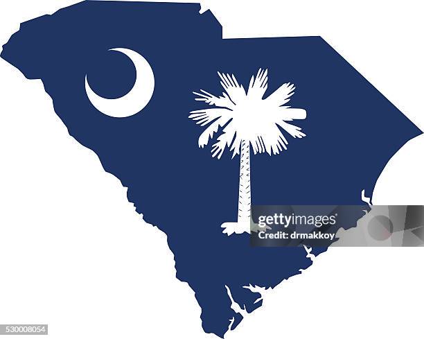 ilustrações de stock, clip art, desenhos animados e ícones de mapa da carolina do sul - south carolina