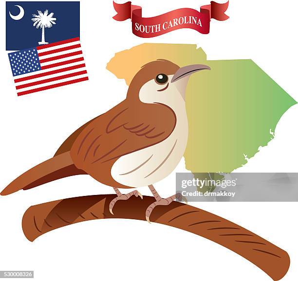 wren - carolina wren stock illustrations