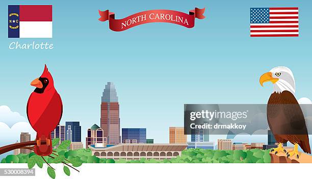 Charlotte Skyline High-Res Vector Graphic