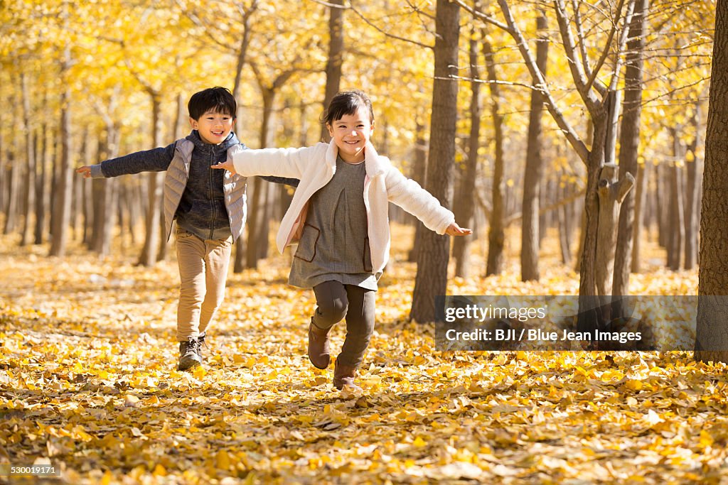 Two children playing in autumn woods